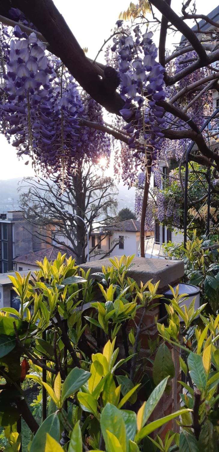 Garden, Garden view
