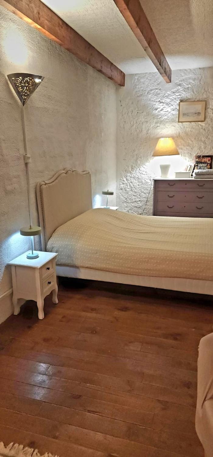 Le logis des vendangeurs Apartment in Occitanie