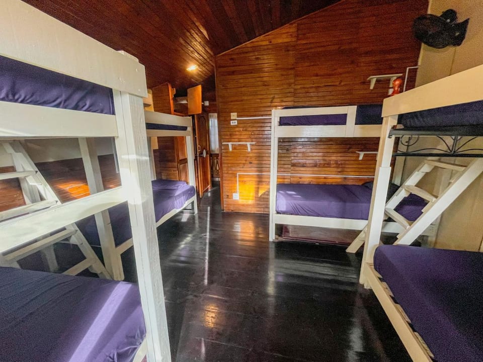 Calipso Bocas Town - Cozy Caribbean House in the Center Bed and Breakfast in Bocas del Toro Province