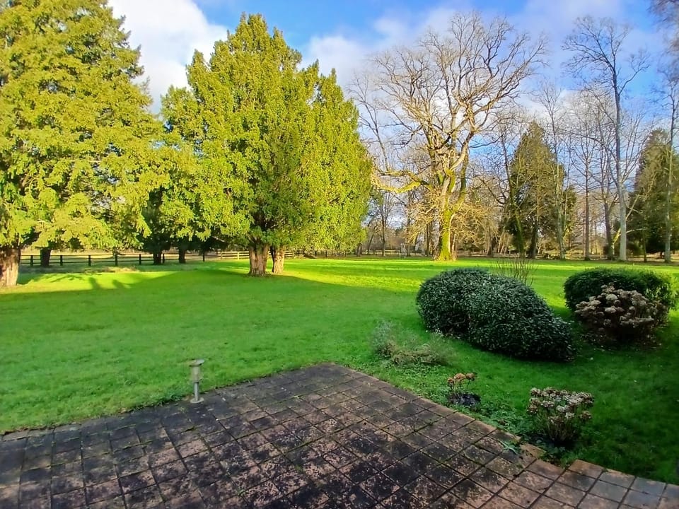 Garden, Balcony/Terrace, Garden view