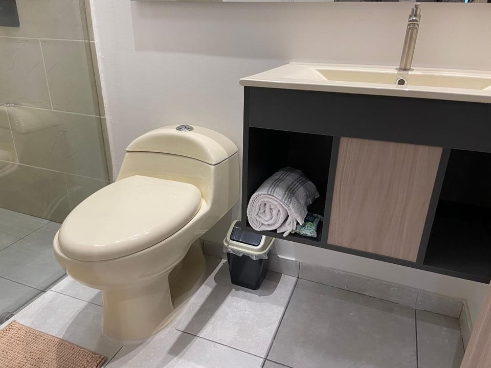 Toilet, Area and facilities