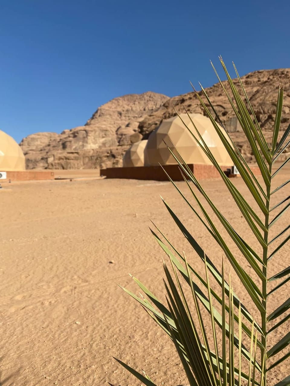Al Jawhara Luxury Camp Hotel in South District