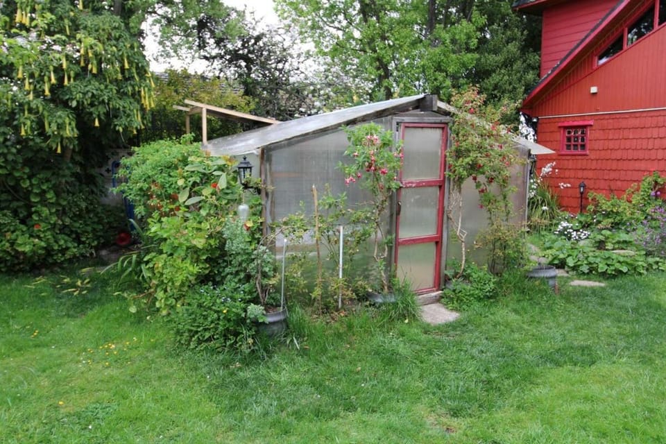Property building, Garden, Garden view