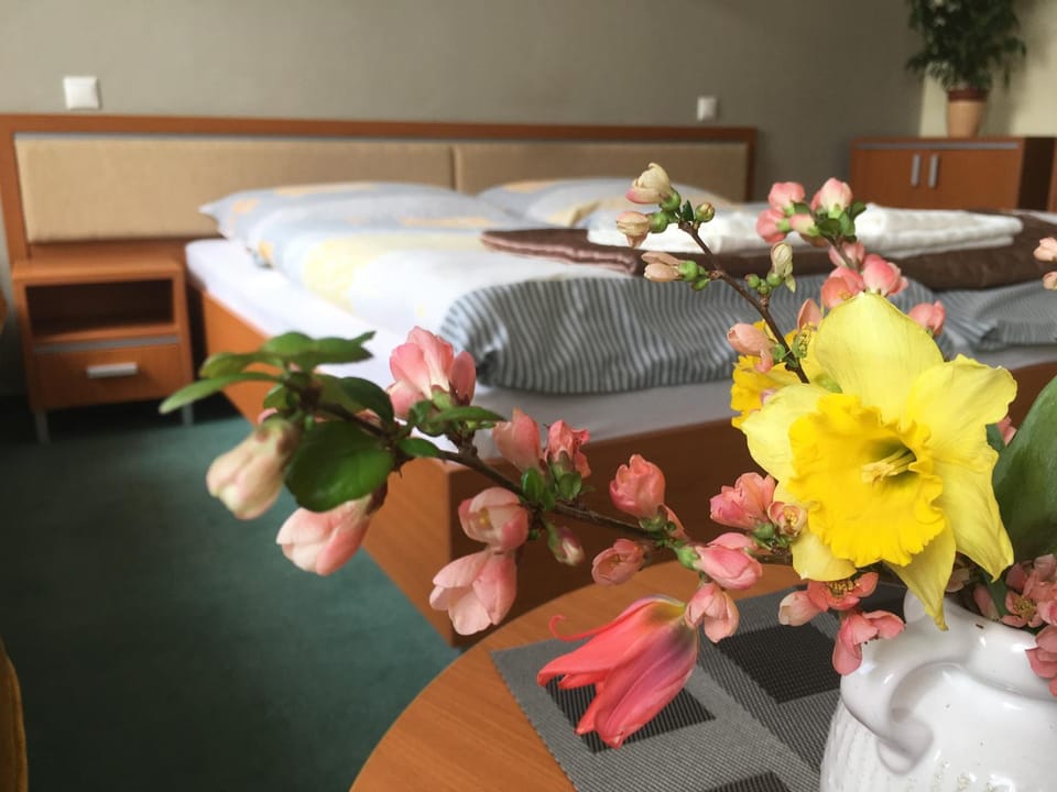 Staff, People, Area and facilities, Family