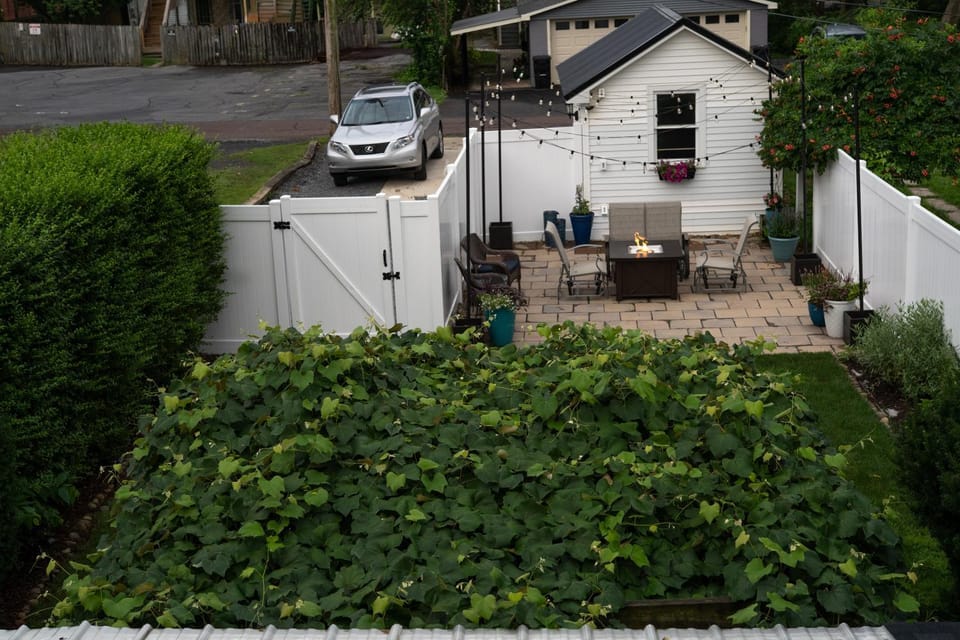 Garden, View (from property/room), Garden view, Parking