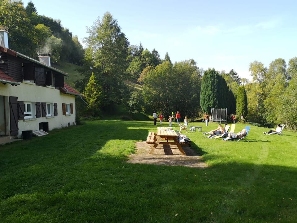 Garden view, sunbed