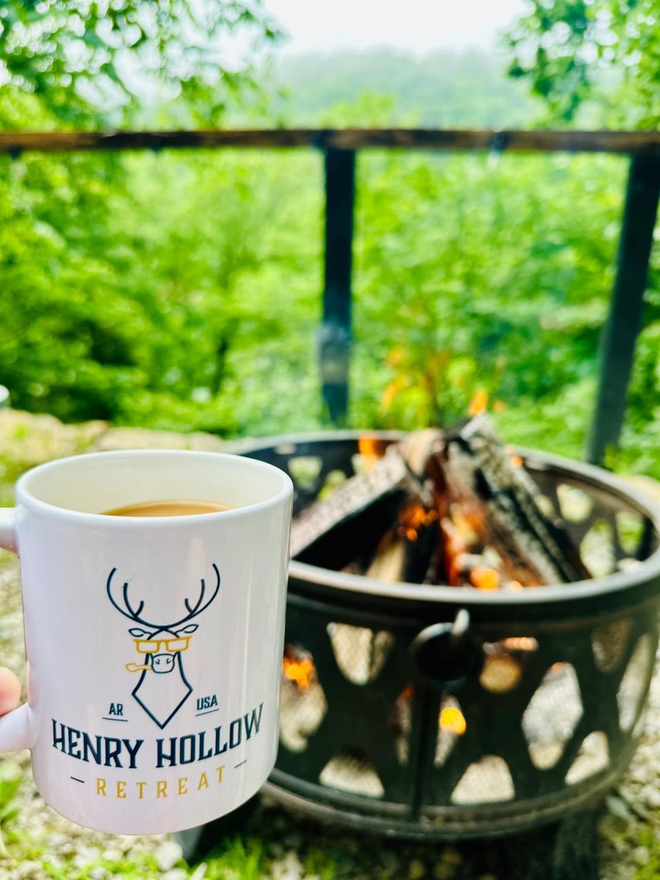 Henry Hollow Retreat Terrace Bed and Breakfast in Beaver Lake