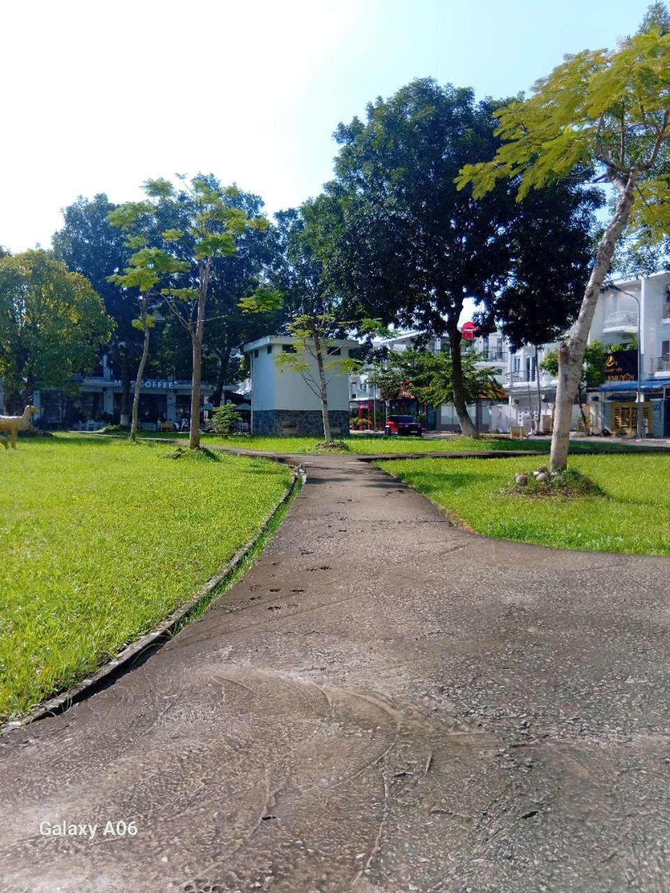 Garden view