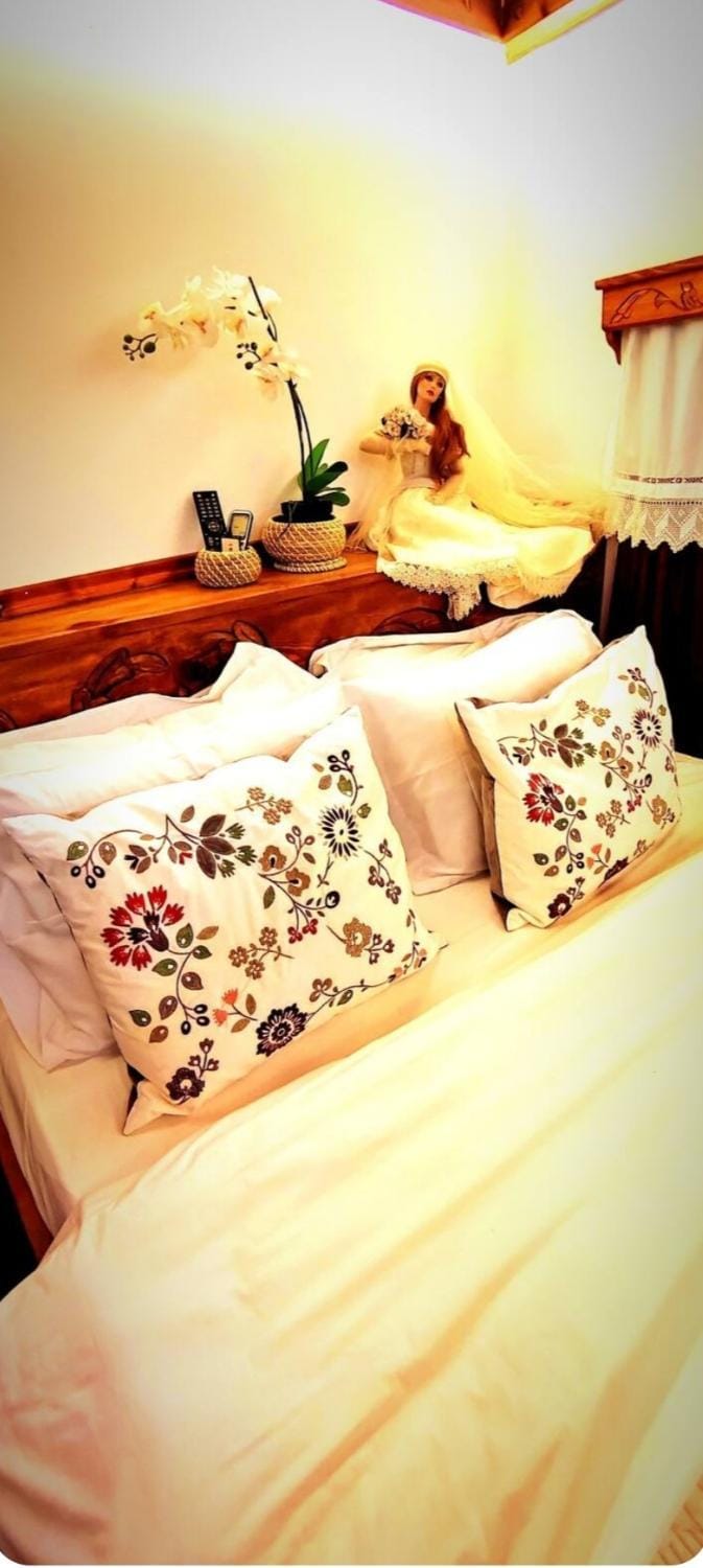 Ela's Chalet in Old Bazaar Gjirokaster Chalet in Vlorë County, Albania
