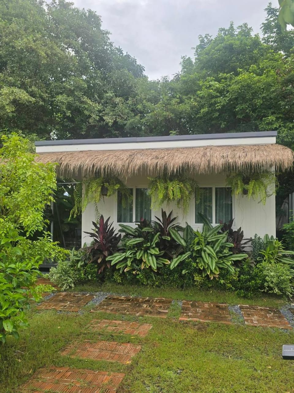 Garden view