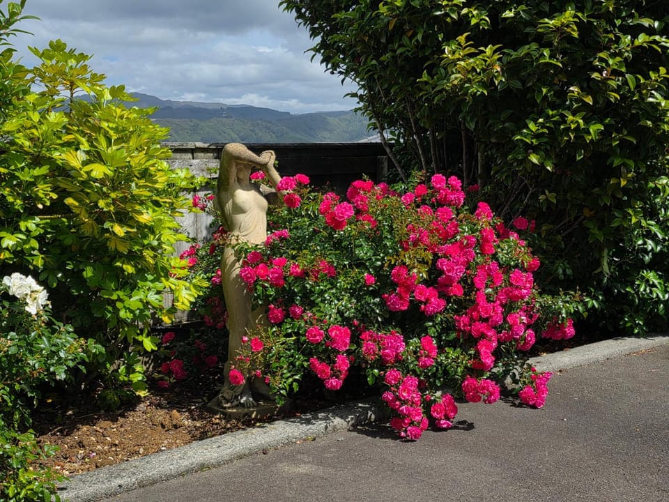 Garden, Garden view