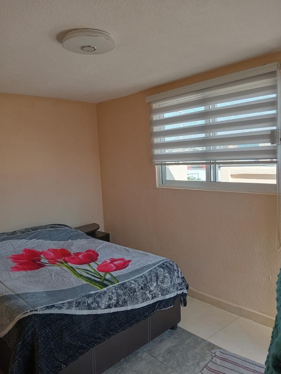 Recámara céntrica funcional Apartment in Mexico City
