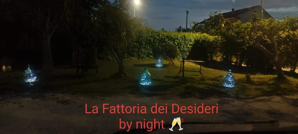 Night, Garden