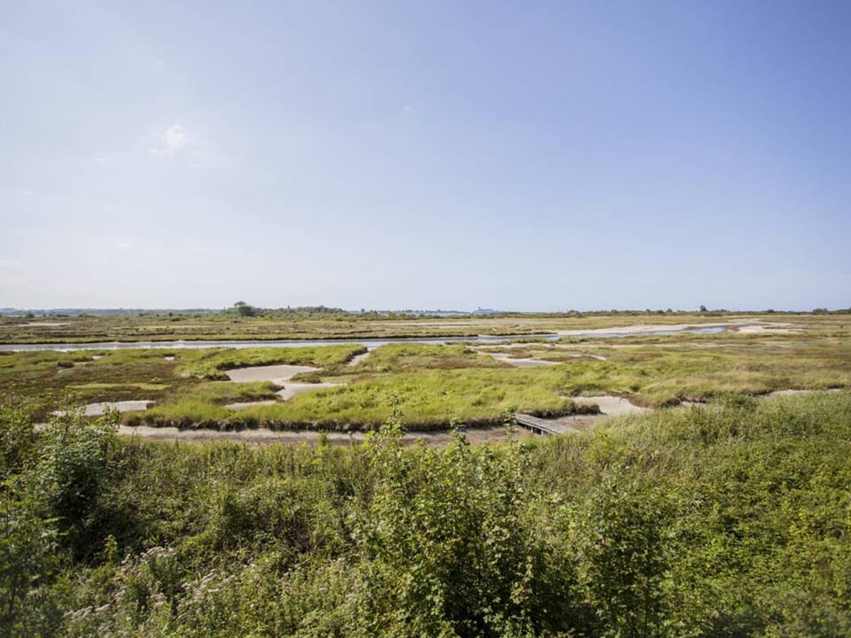 Natural landscape