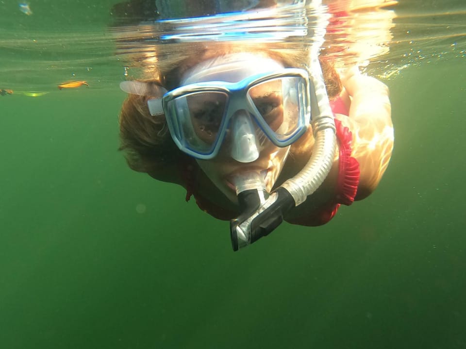 Snorkeling, Snorkeling, Beach, Beach