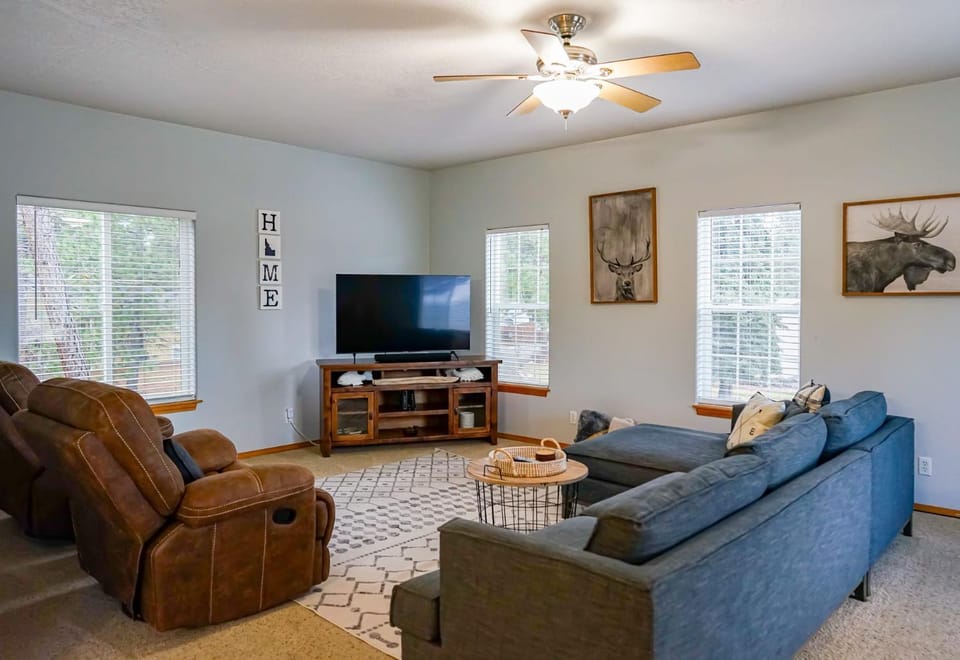 TV and multimedia, Evening entertainment