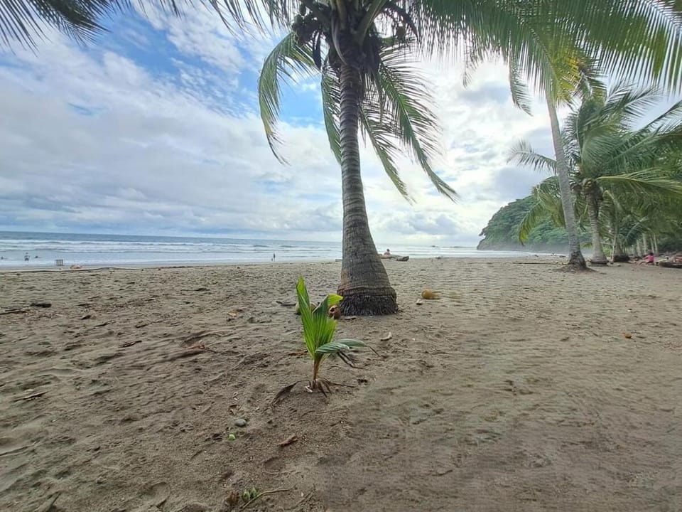 Nearby landmark, Beach