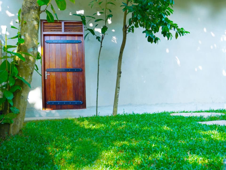 Day, Garden, Garden view