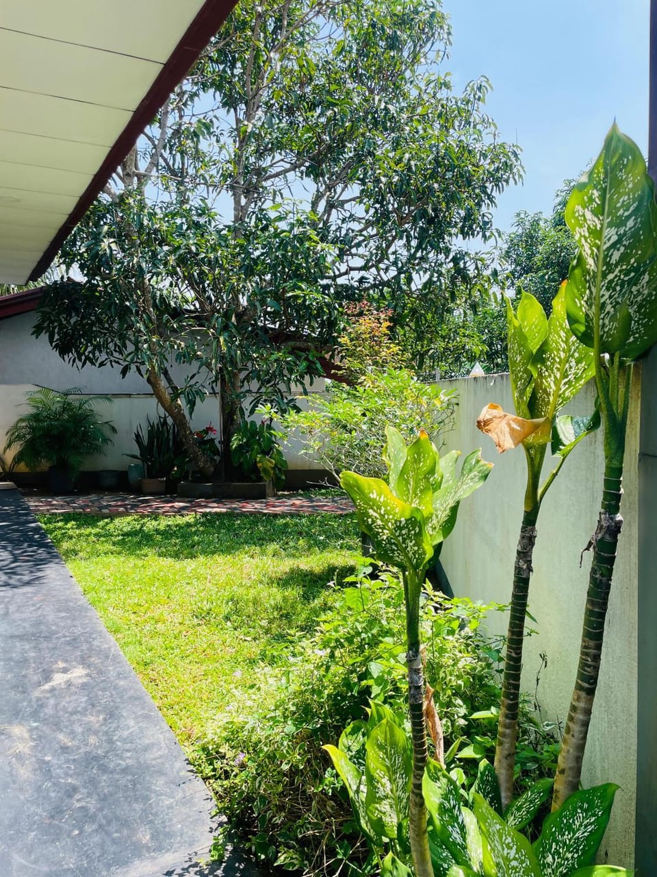 Day, Garden, Garden view