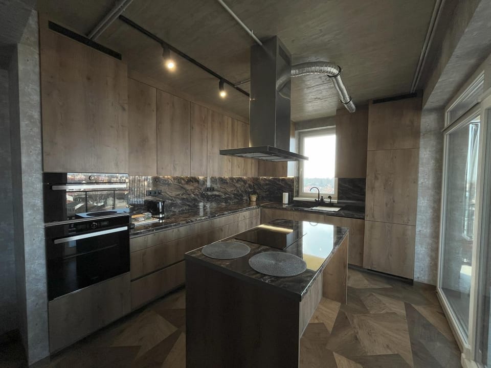 Kitchen or kitchenette, dishwasher, stove