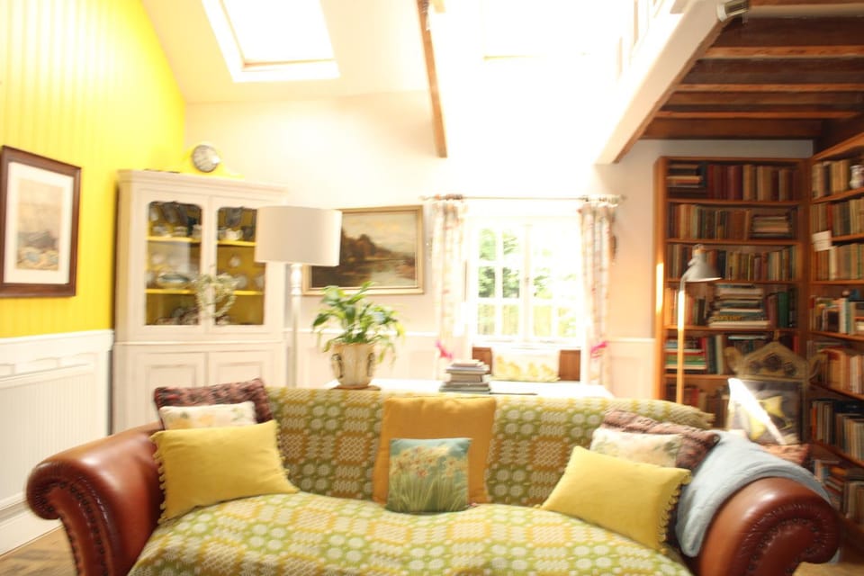 Library, Living room, Seating area, Pets