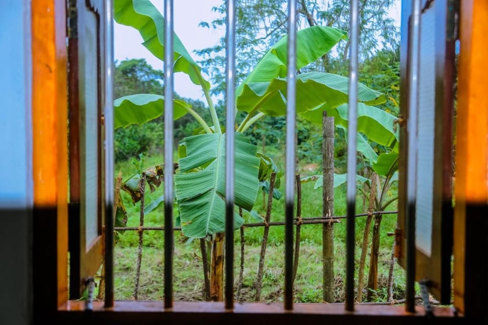 sanduni villa with flora & fauna Farm Stay in Mirissa