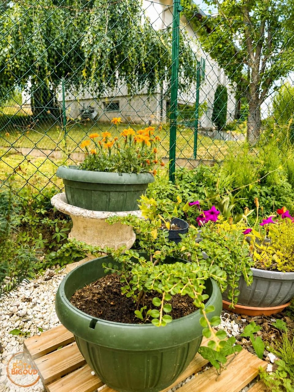 Garden