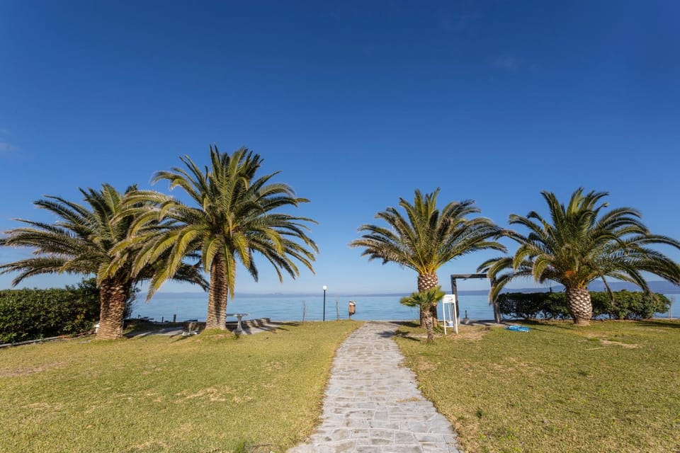 House Soko - 30m to Beach, near Mako and Elephant beach bar House in Halkidiki