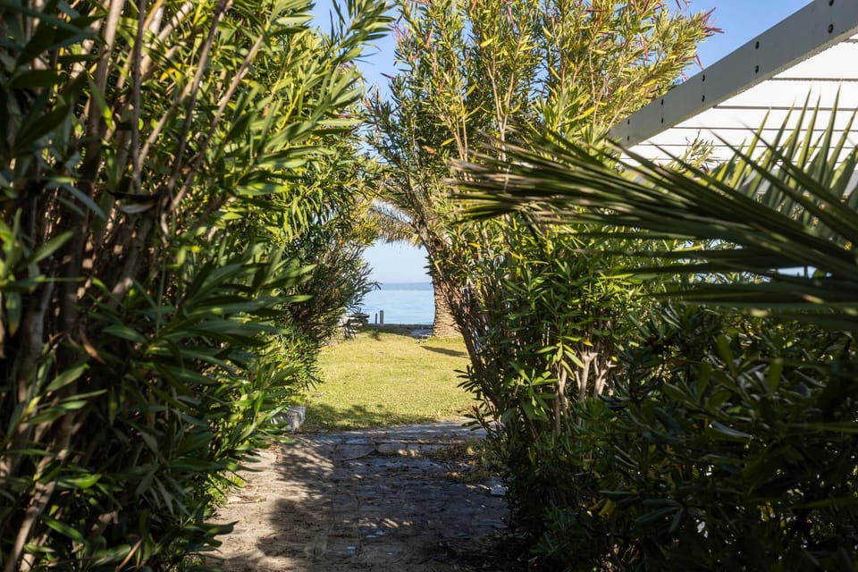 House Soko - 30m to Beach, near Mako and Elephant beach bar House in Halkidiki
