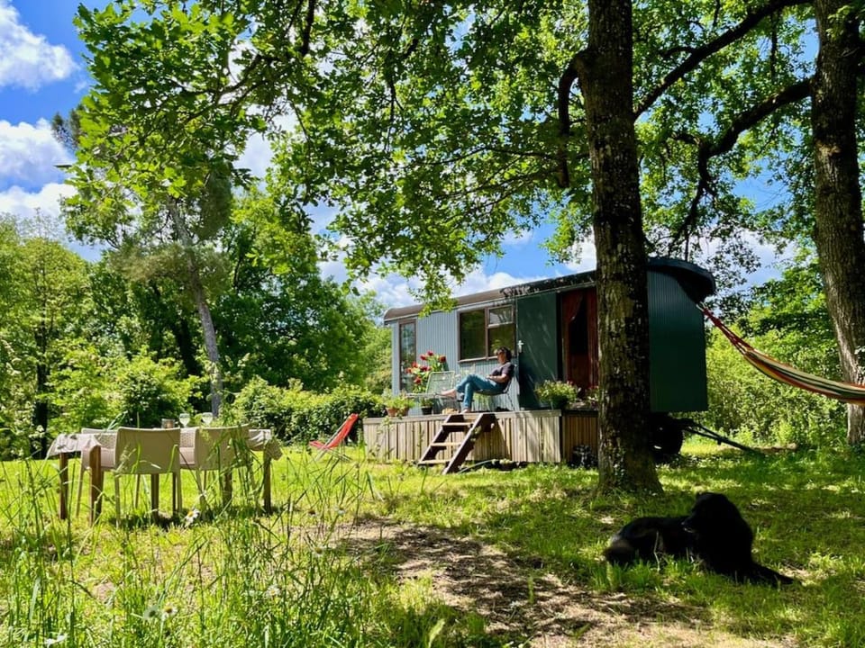 Wooden Cabin - Outdoor Kitchen - Superb Location! Cabin in Nouvelle-Aquitaine