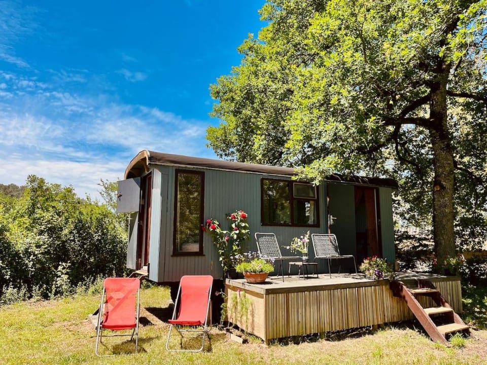 Wooden Cabin - Outdoor Kitchen - Superb Location! Cabin in Nouvelle-Aquitaine