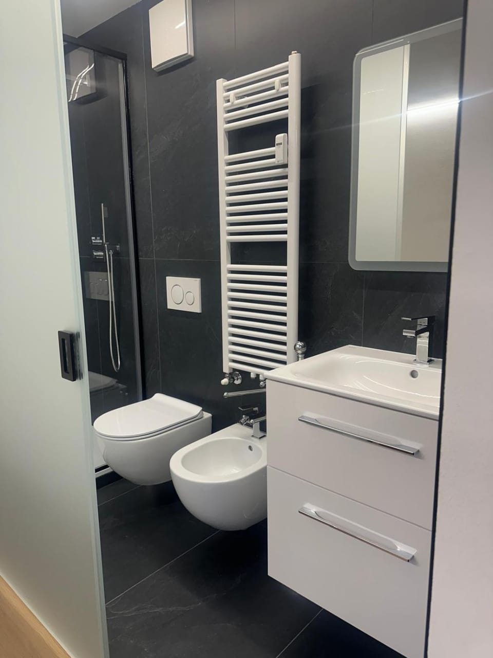 Shower, Toilet, Bathroom, bidet