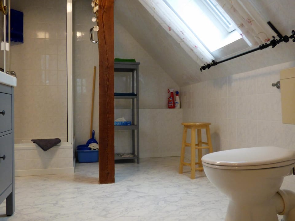 Shower, Toilet, Bathroom