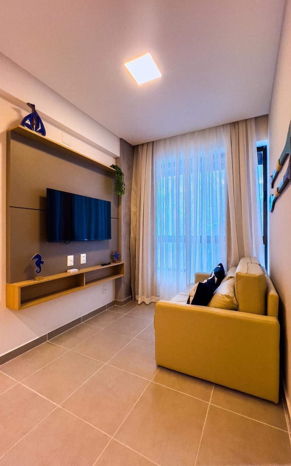 TV and multimedia
