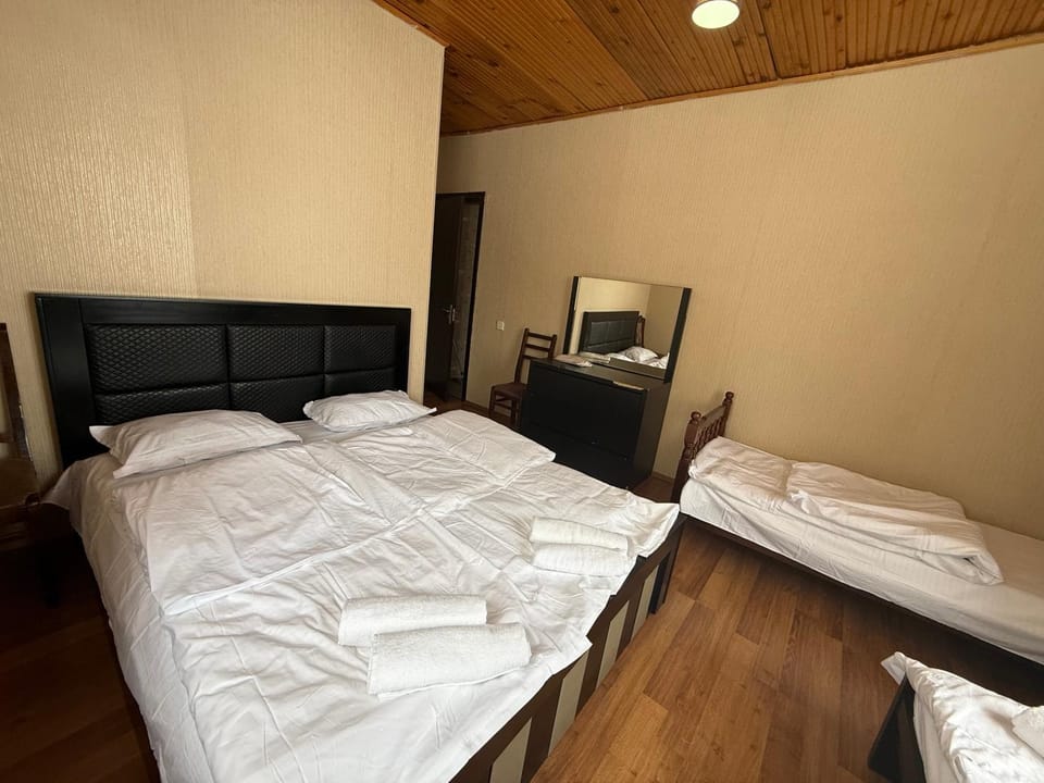Home in Bakurianii Apartment hotel in Georgia