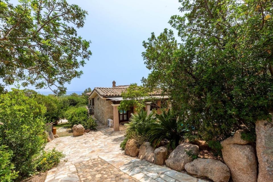 Spring, Natural landscape, Garden view