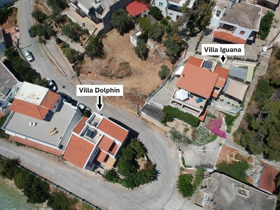 VILLA IGUANA Votsi Villa in Sporades, Greece