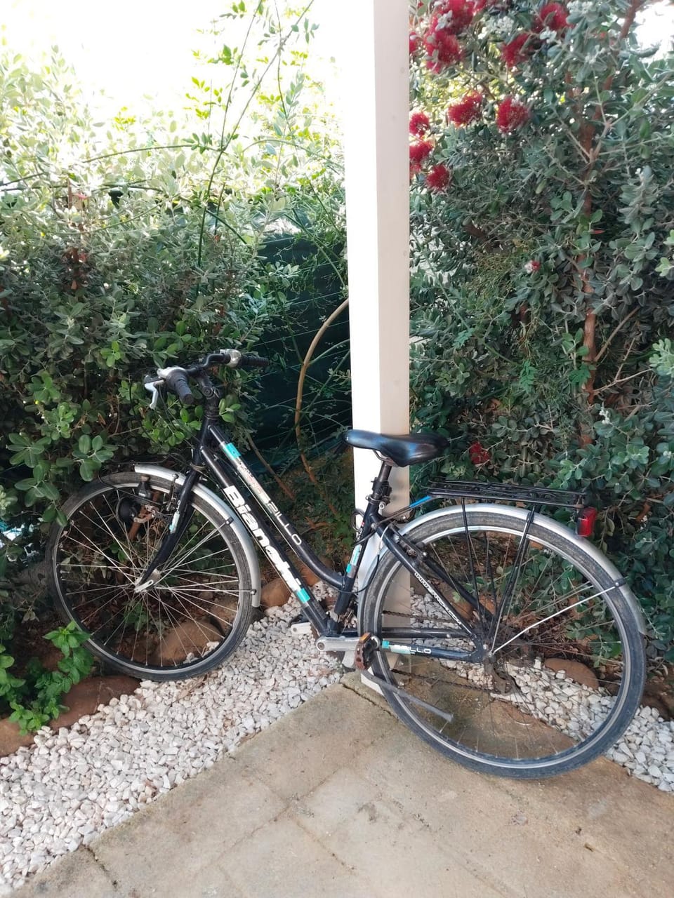 Cycling