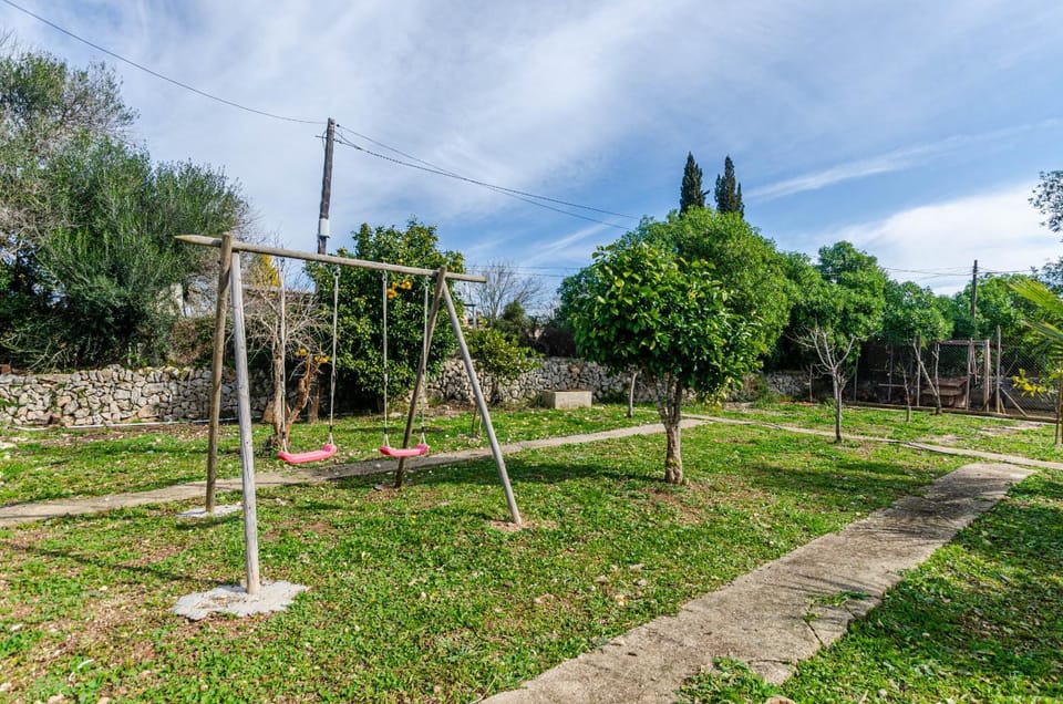 Patio, Garden, Garden view
