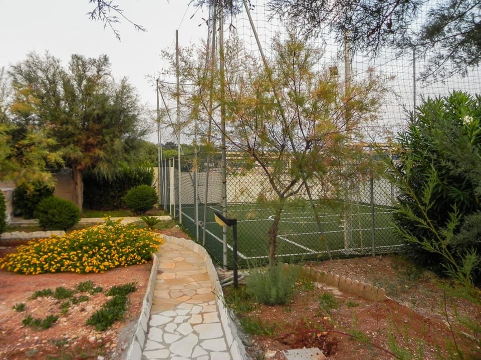 Tennis court