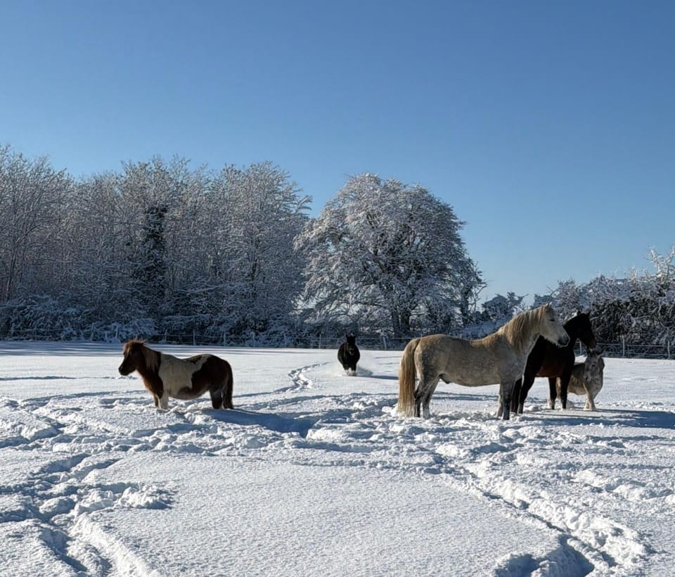 Les Roulottes des Amis de Wonky Campground/ 
RV Resort in Nouvelle-Aquitaine