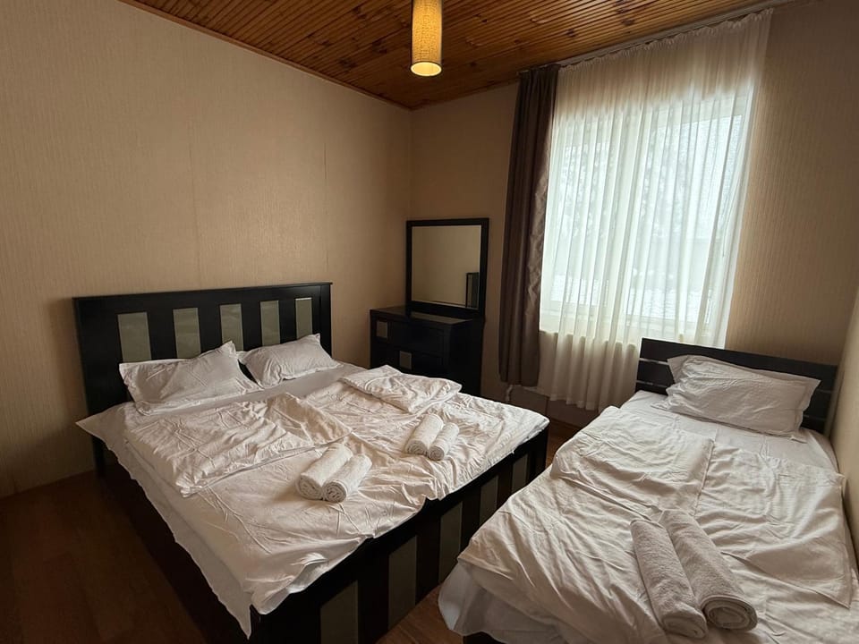 Home in Bakuriani Apartment hotel in Georgia