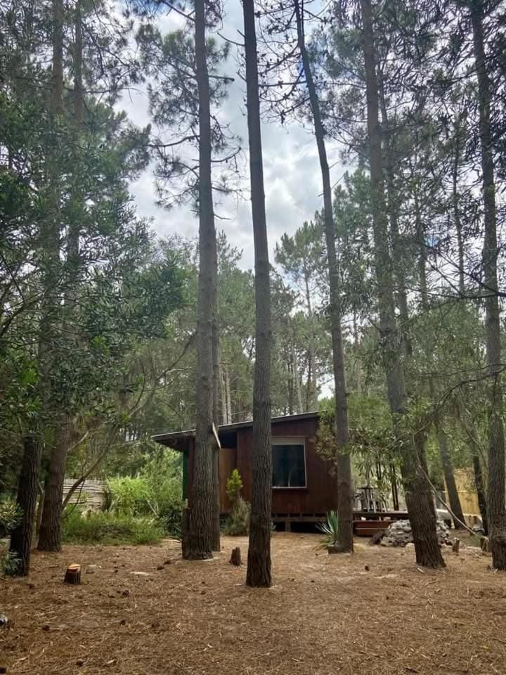 Cali House in La Paloma