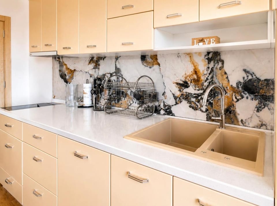 Kitchen or kitchenette, dishwasher, stove