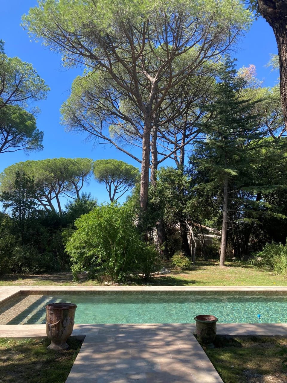 Garden view
