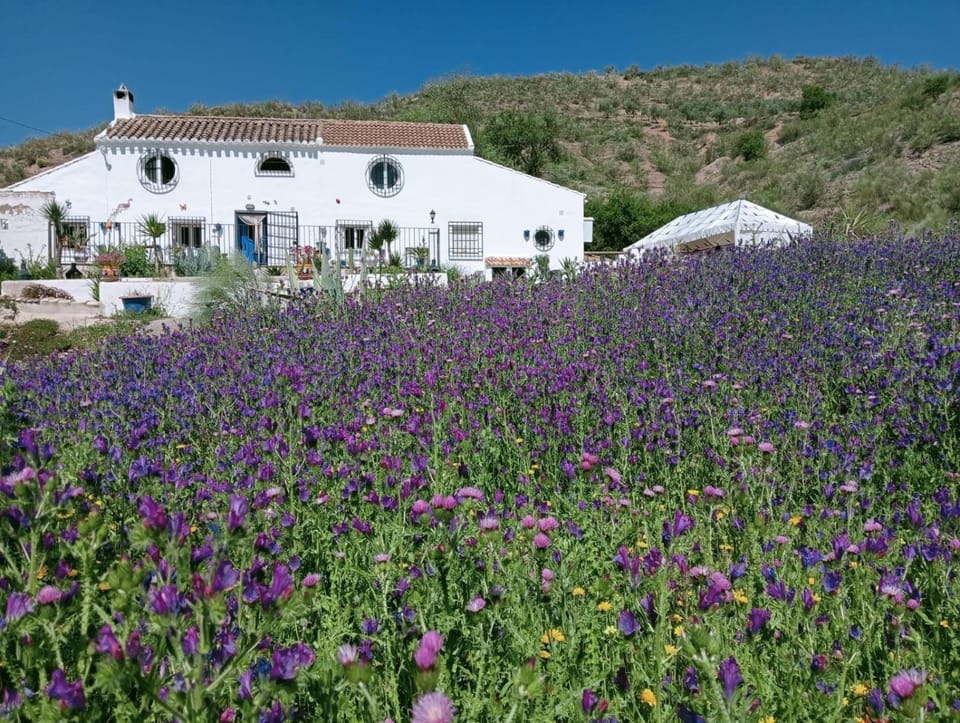 Property building, Natural landscape, Garden, Garden view, Mountain view