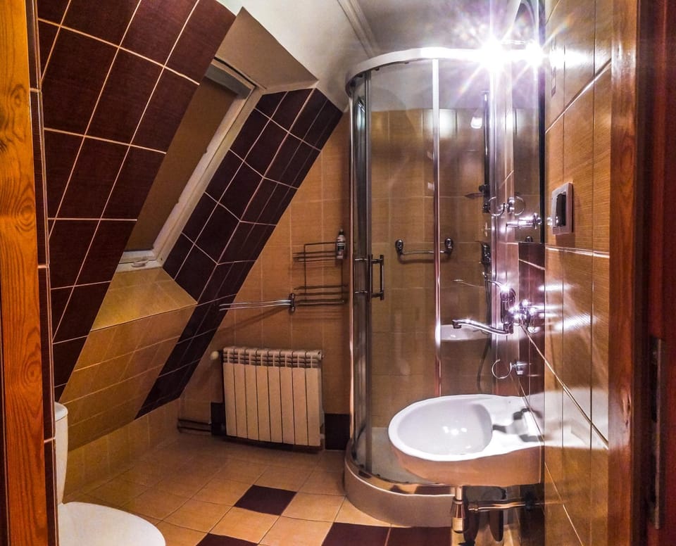 Shower, Toilet, Bathroom, towels