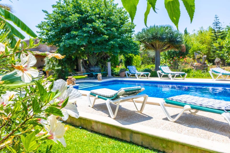 Sunny villa with private pool, AC and WIFI House in Raiguer