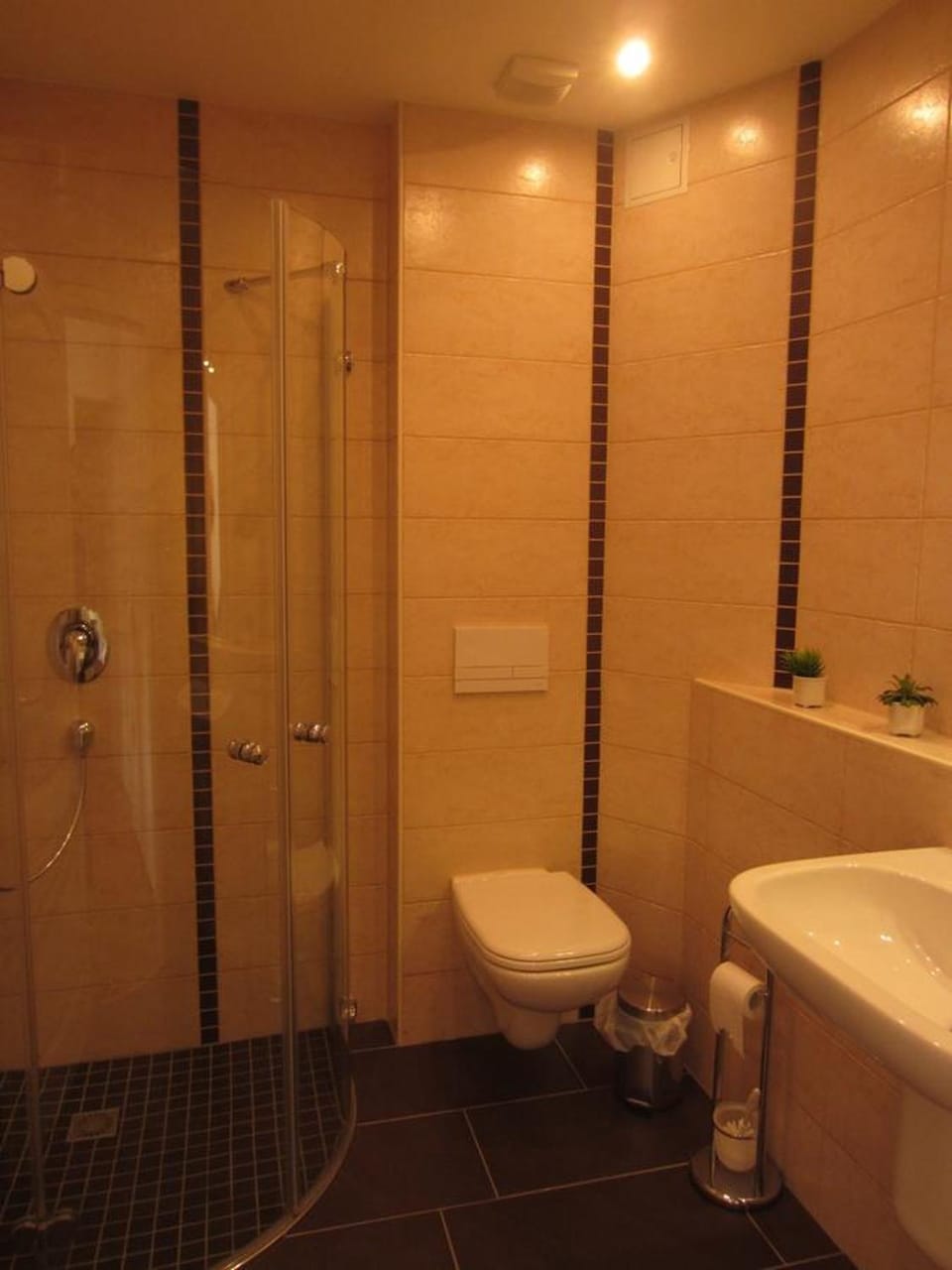 Ferienwohnung Im Wiesenthal Apartment in Erzgebirgskreis