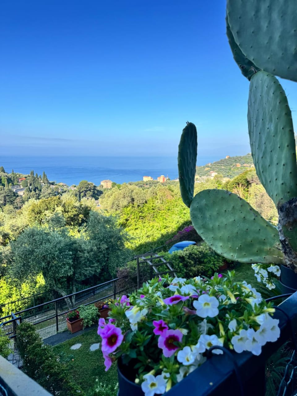casa lella home Apartment in Recco